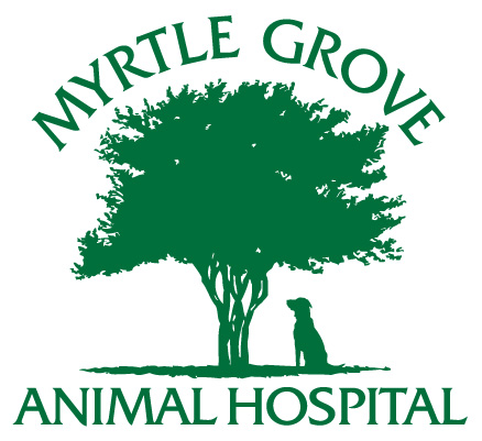Myrtle Grove Animal Hospital