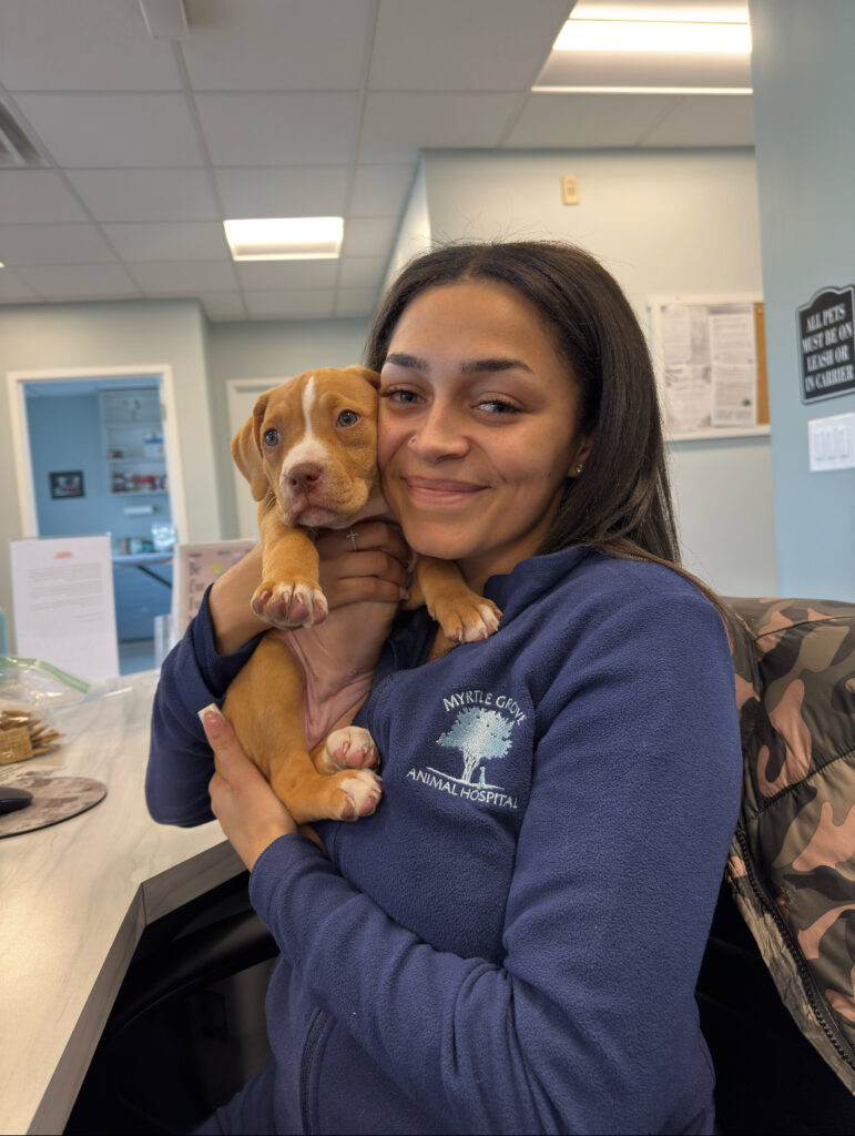 Sabrina Patton, FFCP